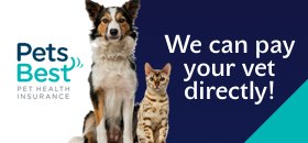 Pet Quote Insurer